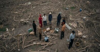 Lualaba : plus de 800 cultivateurs privés de leurs terres à Kampemba